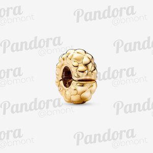 Pandora Studded Clip Charm